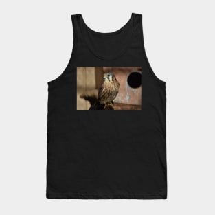 American Kestrel Tank Top